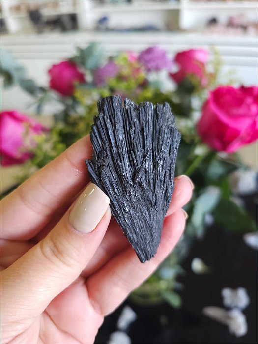 Cianita Negra - Vassoura de Bruxa