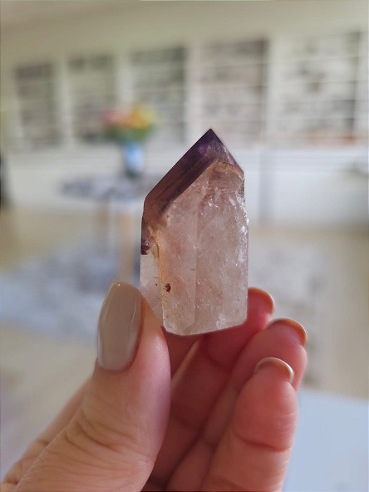 Casaco dos Sonhos - Dream Coat