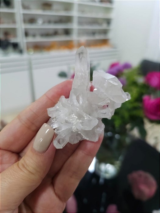 Drusa de Cristal
