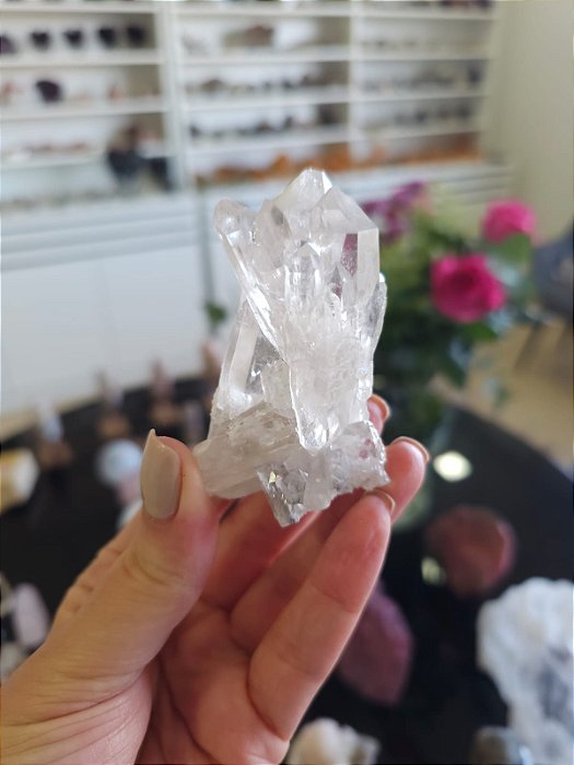 Drusa de Cristal