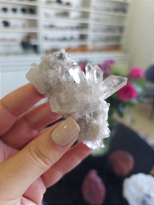 Drusa de Cristal