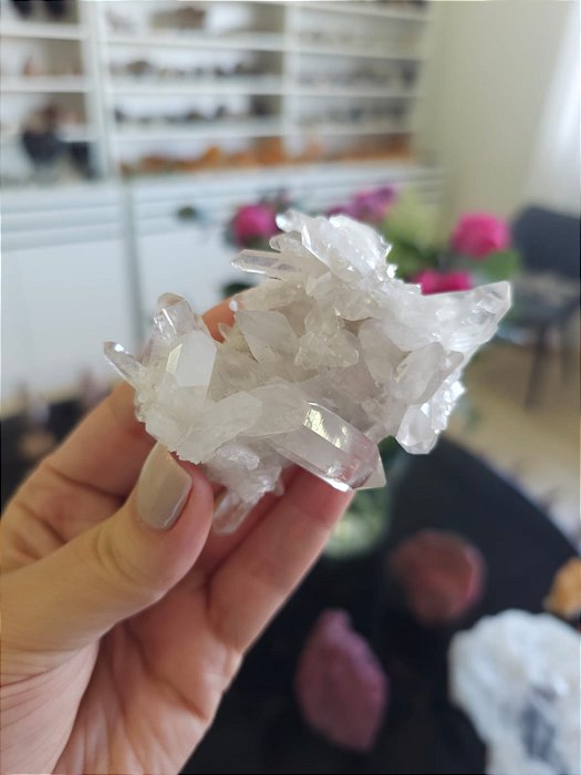 Drusa de Cristal