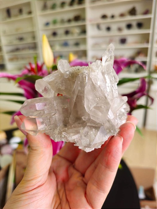 Drusa de Cristal