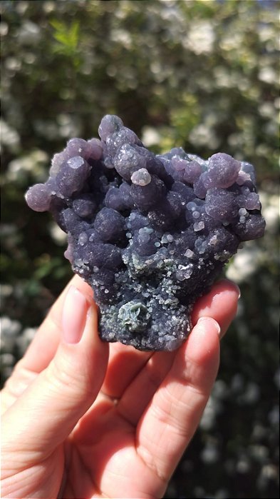 Ágata Grape (Ametista Grape)