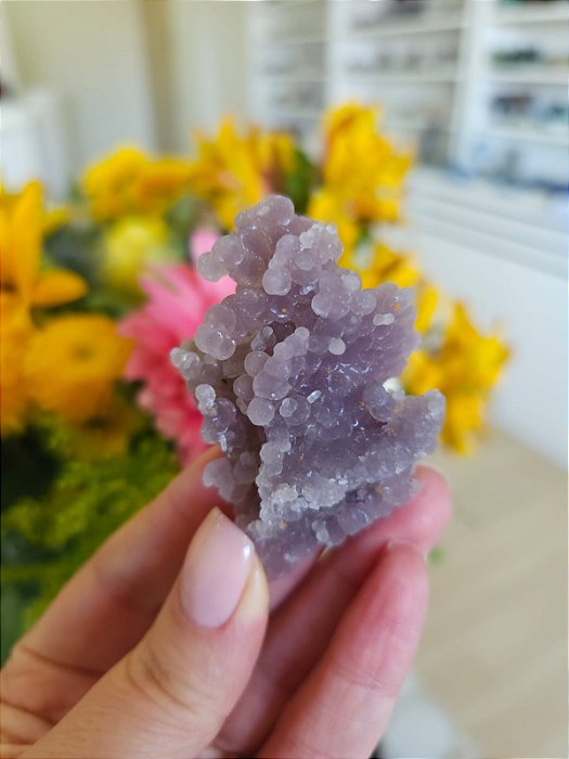 Ágata Grape (Ametista Grape)