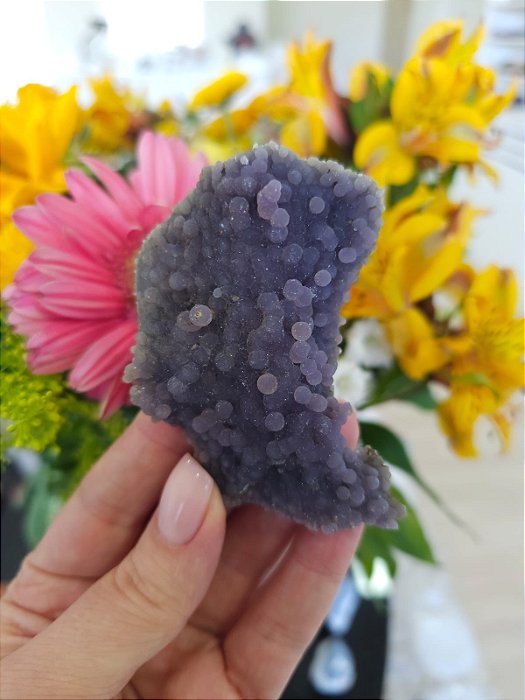 Ágata Grape (Ametista Grape)