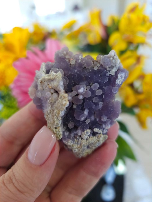 Ágata Grape (Ametista Grape)