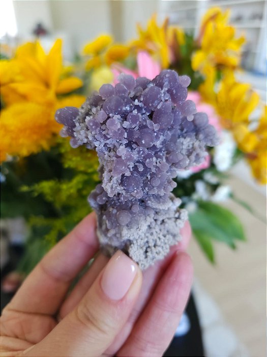 Ágata Grape (Ametista Grape)