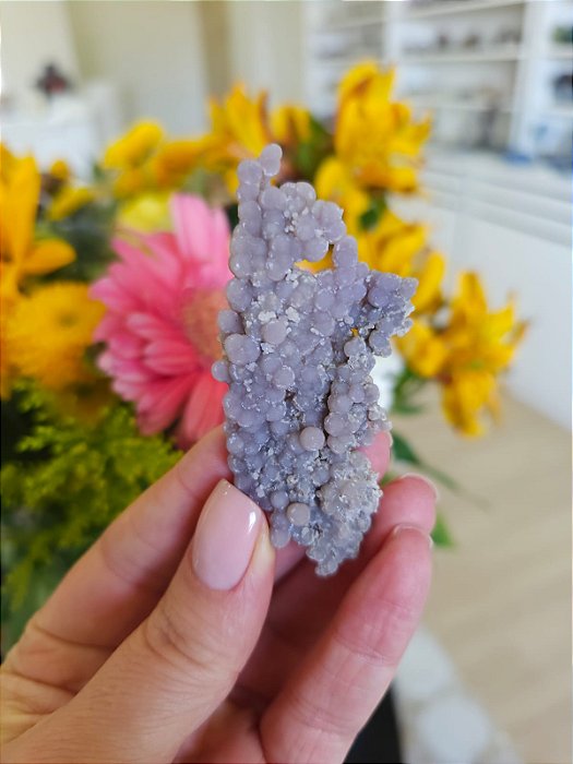 Ágata Grape (Ametista Grape)