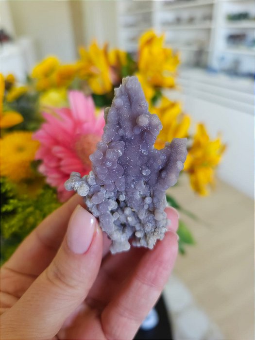 Ágata Grape (Ametista Grape)