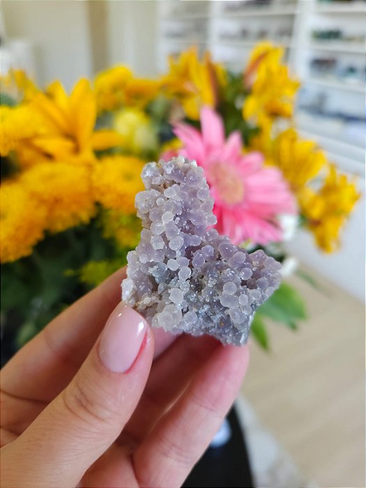 Ágata Grape (Ametista Grape)