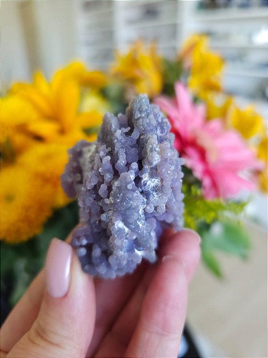 Ágata Grape (Ametista Grape)