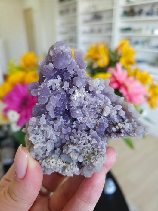 Ágata Grape (Ametista Grape)