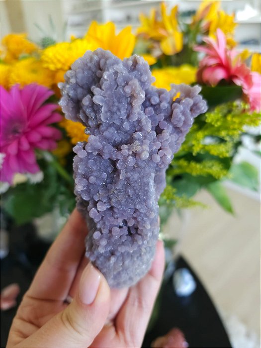 Ágata Grape (Ametista Grape)