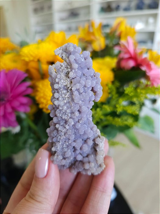 Ágata Grape (Ametista Grape)