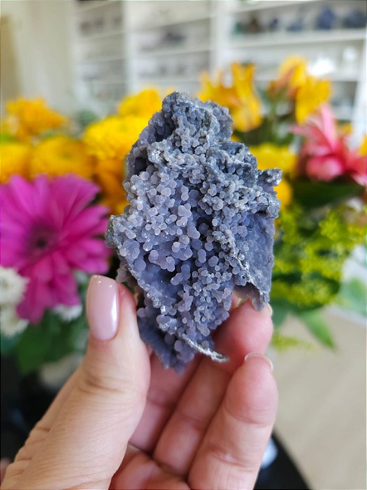 Ágata Grape (Ametista Grape)