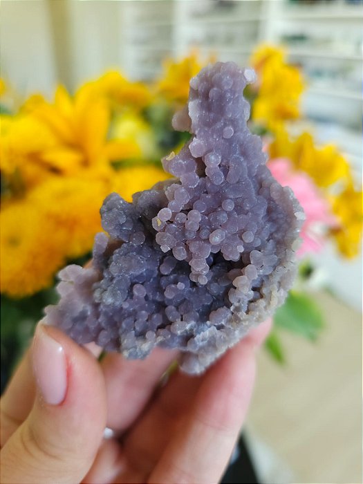 Ágata Grape (Ametista Grape)