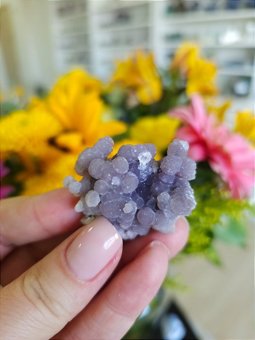 Ágata Grape (Ametista Grape)