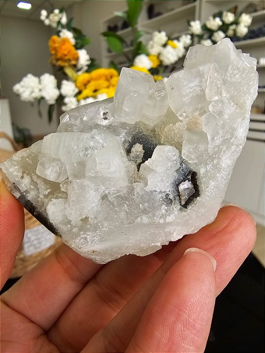 Estalactites coberta de Apofilitas