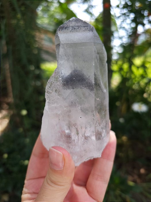 Mestre Phantom Negro