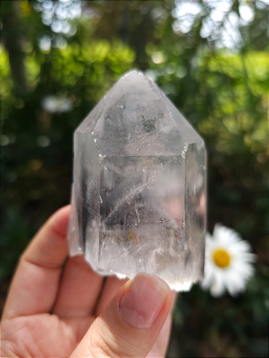 Mestre Phantom Transmissor Negro