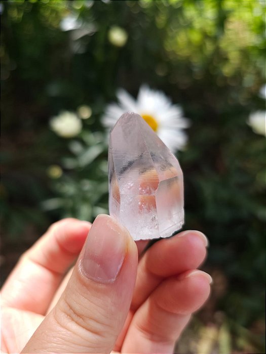 Mestre Phantom Negro com Face Lineada