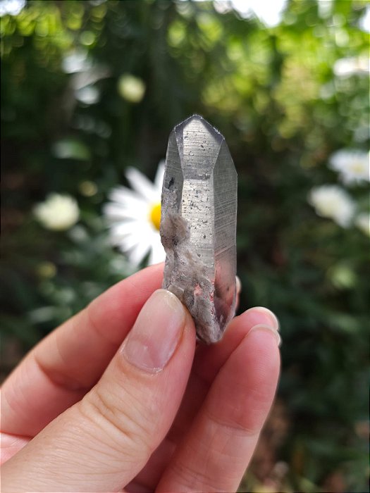 Mestre Phantom Negro Lemuriano