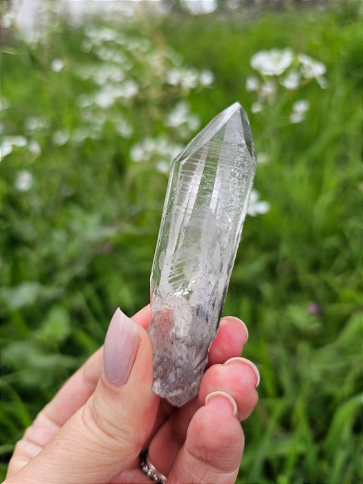 Mestre Phantom Lemuriano