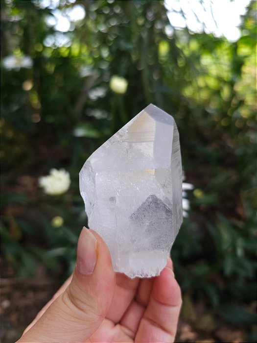 Mestre Phantom Negro