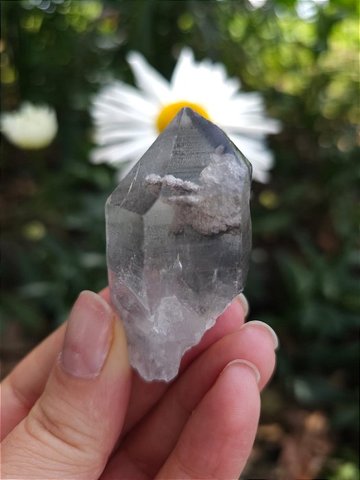 Mestre Lemuriano com Inclusão