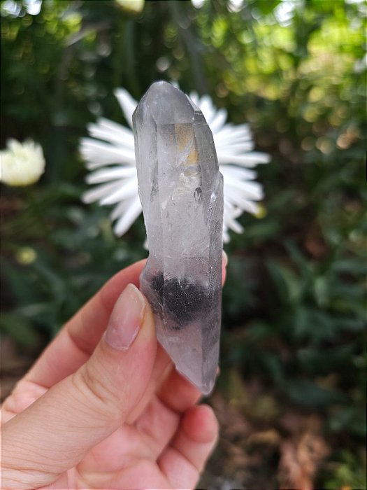 Mestre Phantom Negro Lemuriano