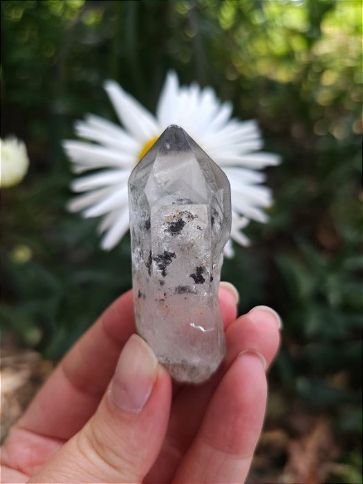 Mestre Phantom Negro