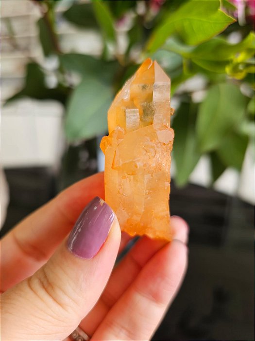 Ponta de Quartzo Tangerina Autocurado