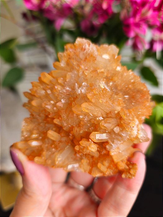 Drusa de Quartzo Tangerina