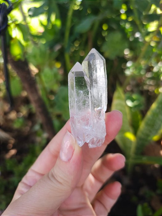 Mestre Autocurado Elo do Tempo Passado (Qualidade Extra)