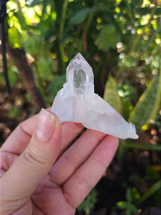 Drusa Quartzo Transparente