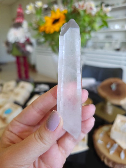 Mestre Lemuriano com ponta coberta de Hematita