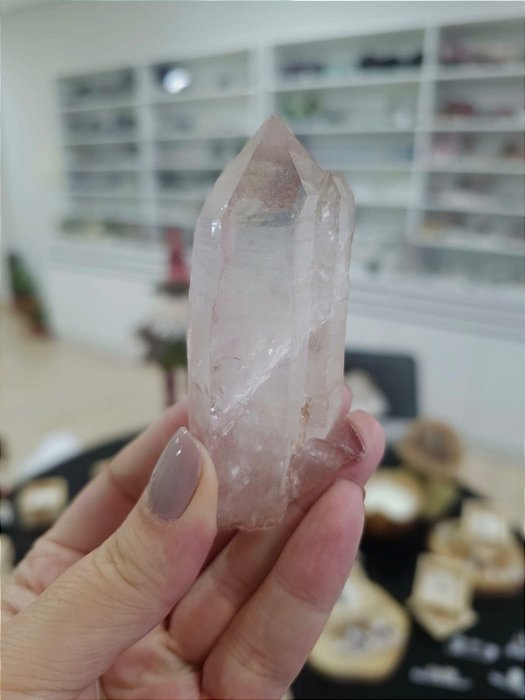 Mestre Gêmeo Tântrico Rosa