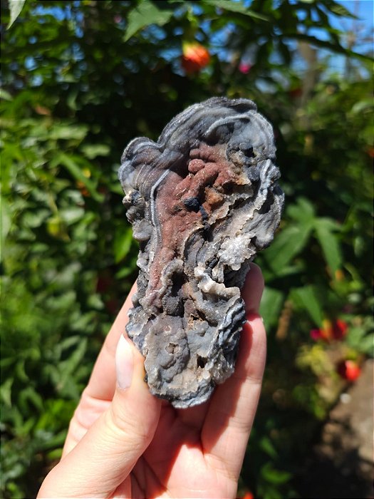 Galáxia de Calcedônia