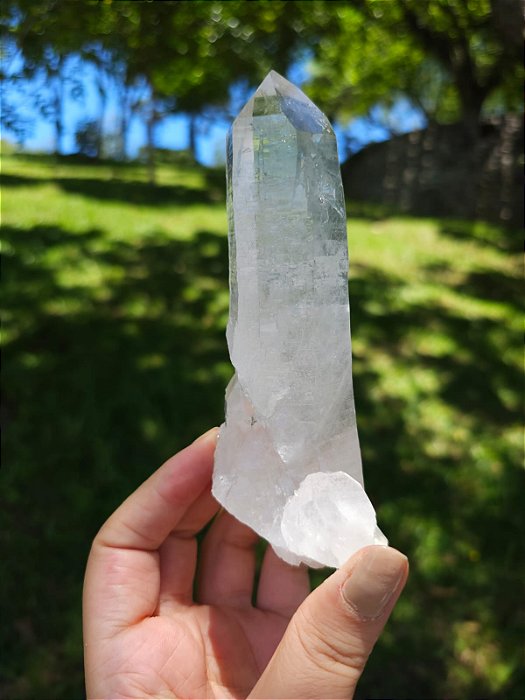 Mestre Autocurado, Canalizador e Arquivista