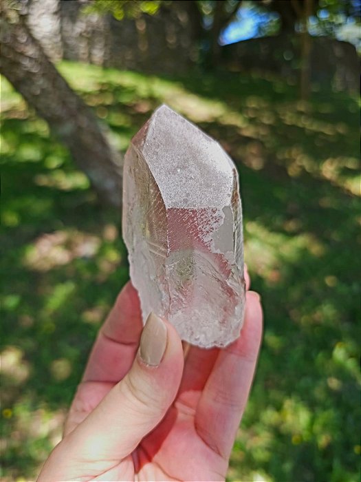 Mestre Canalizador Pink