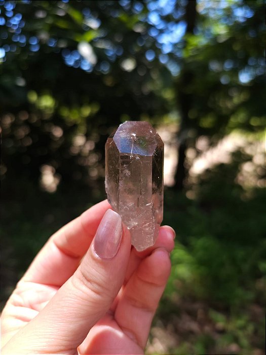 Quartzo com Rutilos Dourados