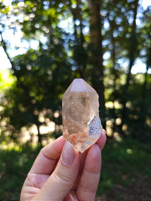 Quartzo com Rutilos Prata