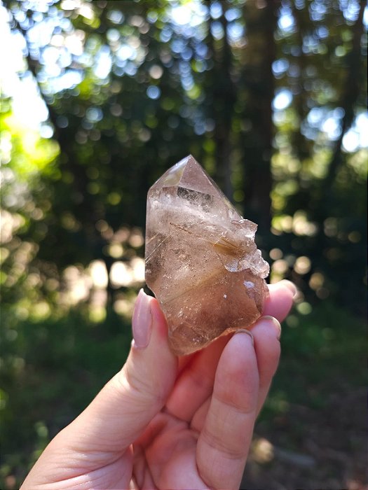 Quartzo com Rutilos Dourados