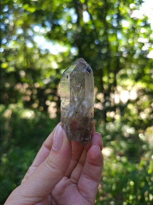 Quartzo com Rutilos Prata e Hematita