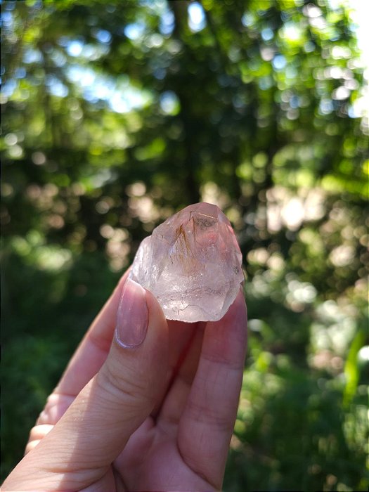 Quartzo com Rutilos Dourados