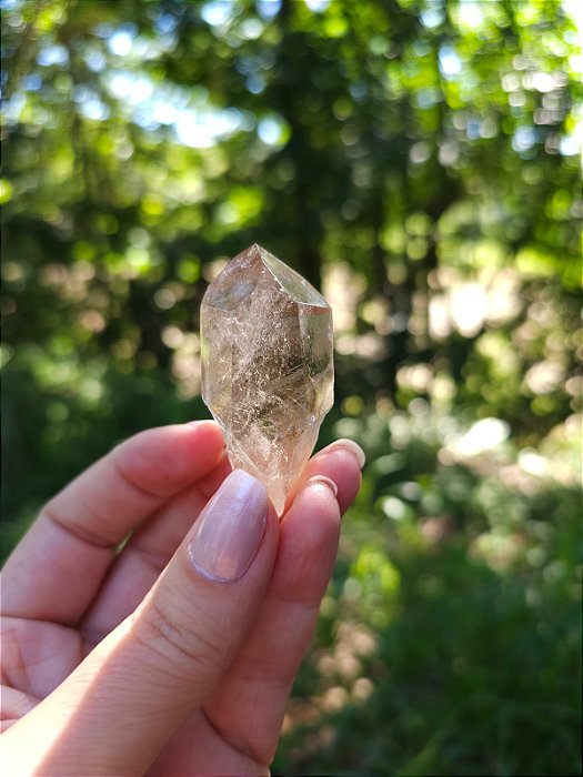 Quartzo com Rutilos Dourados