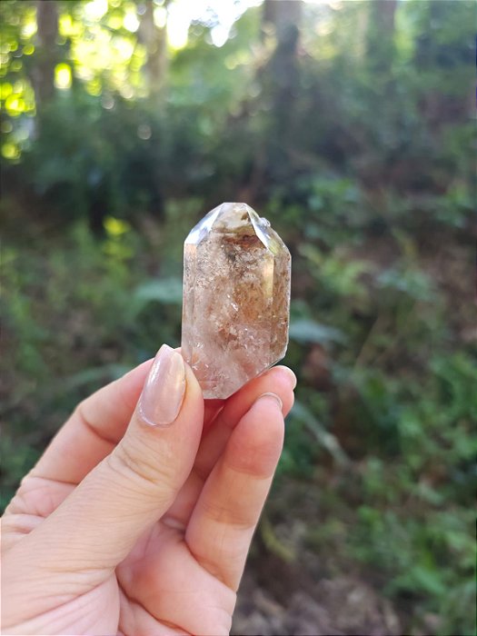 Quartzo com Rutilos Negros e Lodolita