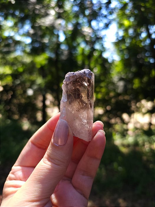 Quartzo com Rutilos Dourados e Lodolita