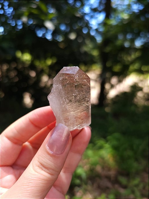 Quartzo com Rutilos Dourados